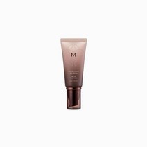 미샤 M 초보양 비비크림 50ml 22호 은은한베이지, 상세페이지 참조, 상세페이지 참조