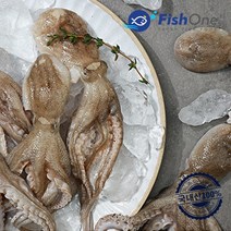 피시원 [피시원] 국내산 싱싱한 활 주꾸미 1kg, 1