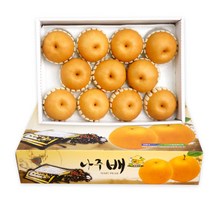 나주 신고배 선물세트 7.5kg, 상세페이지 참조4, 7.5kg 8-10과 특상품