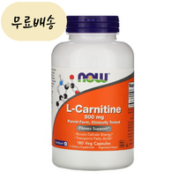 나우푸드 L카르니틴 500mg 180개입 카르니틴 엘카르니틴 [미국 직배송], 180개, 1개