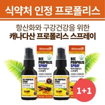 목에좋은 프로폴리스스프레이 영양제 수용성원액 60ml 구강 건강 항산화 프리미엄 BEEPROPOLIS 식약처인정 고함량 PROPOLISSPRAY 플라보노이드 원액 리퀴드 액상