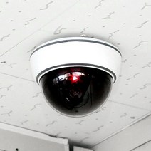 [1+1] 모던홀릭 모형 CCTV 8종, [1+1] 03.고급형 돔카메라 / 화이트