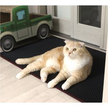 위코 우리집 고양이 벌집 이중구조 모래 화장실 매트 사막화 방지