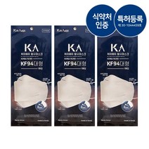 [인천연합] 완벽차단 식약처인증 소량생산 방역용 KF94마스크 10매, KF94덴탈마스크10매