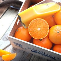 산지직송 제주 천혜향 가정용 벌크박스 3kg 4.5kg 9kg, 제주 고당도 천혜향_3kg | 소과(17-20과)
