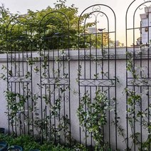 담쟁이 담벼락 지지대 철제 트렐리스 넝쿨 장미 꽃, 폭 50 높이 180블랙 4개입 미디엄