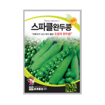 세계종묘 완두콩씨앗 40g-2봉 큰꼬투리 좋은맛 풍부한식이섬유 피로회복 위기능 노화예방에도움