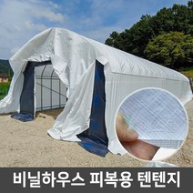 비닐하우스 텐텐지 하우스자재 피복 자재, 텐텐지 180g 8m x 10m