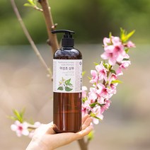 유안재 어성초추출물 원액 약산성 두피 샴푸 490g, 500ml, 1개