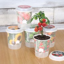 나nanr_그로우 톡톡 - 마음을 노크하는 작은 정원 메리골드키우기 인테리어식물키우기 꽃키우기 허브바질키우기 해바라기키우기 화분키우기 반♥sksnfll, ♥sksnfll방울토마토