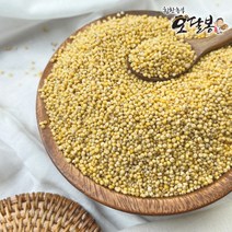 힘찬농부오달봉 2022년 찰기장 기장쌀 좁쌀 수입산 중국산, 1포, 3kg