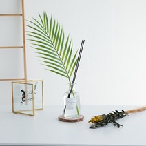 센트홀릭 이레카야자 조화 천연 실내디퓨저 대용량 200ml, 아카시아