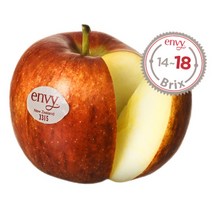 엔비사과 예산 ENVY사과 프리미엄 설선물 과일선물세트, 비세척 엔비사과 2.5kg /중과/11개 내외