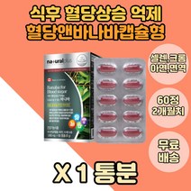 식약처인증 혈당 엔 바나바 바나바잎 코로솔산 1통 비타민C 아연 면역영양제 바나바잎추출물 바나나잎 산화아연 식약처인증 식후 혈당상승 억제 도움 바나바영양제 corosolic 크롬