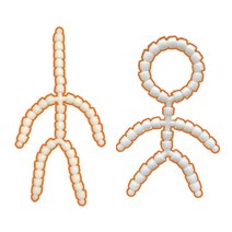 3개세트 아이돌 솜인형 만들기 관절 DIY 무속성 인형 재료 뼈, 관절 수리 키트 (단독주문불가)