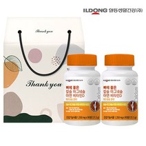 일동생활건강 뼈에좋은 칼슘 마그네슘 아연비타민D 2병 선물세트, 단품, 단품
