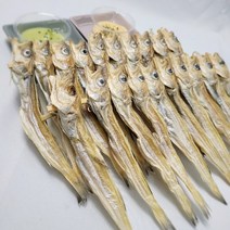 [인생건어물]지방태 대구 줄노가리 100미, 줄노가리 100급 100미