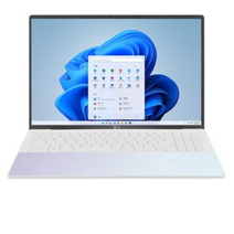 LG 그램 스타일 WQHD+, 오로라 화이트, 코어i5, 1TB, 16GB, WIN11 Home, 16Z90RS-GA5CK