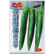 오이맛 슈퍼청록 풋고추 씨앗(50립)(A0185)