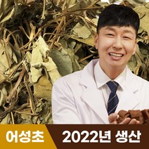 [혜민원] 국내산 어성초 10g, 1개