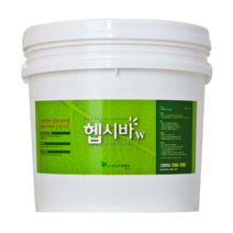 헵시바 화이트(W) 베란다 창고 다용도실 습도조절 항곰팡이 페인트 4Kg 10Kg, 헵시바W(화이트) 4Kg, 1개