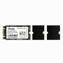 디오테라 VIVA 300S LITE M.2 2280 256GB 내장형 SSD