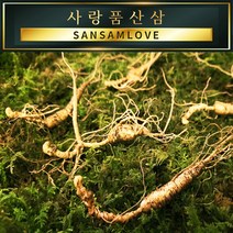 사랑품산삼 산양삼 15년근 장뇌삼 산양산삼 산삼사랑, 1번_뿌리삼 (A급) 15년근 1뿌리