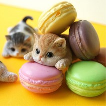 진짜 고양이같은 미니어쳐 냉장고자석 실내인테리어 예쁜자석 주방인테리어 마스크걸이 아기사진 데코자석, 그레이