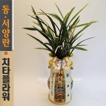 치타플라워 동양란 황룡관 황금투각분 승진 개업 축하 난 (dhgt07-A) 동양난 영전 취임 생일 선물 화분 고급 란 전국 당일 꽃배달