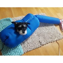 강아지털말리는기계 애견건조기 블루 고양이털 강아지드라이빙킷, 1개, M