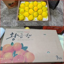 이든 황금향 3kg 가정용 15개내외 제주황금향 노지감귤 조생귤 부모님 친지 지인 선물 대량주문, 단품