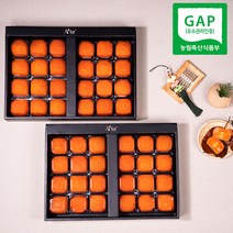 1+1 감좋은날 청도 반건시 곶감 선물세트+선물가방포함 20구 24구, 2박스, 청도반건시 (중자) 20구 60g내