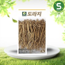 솔림텃밭몰 도라지씨앗 6g 도라지 길경도라지 민속채소 건강채소