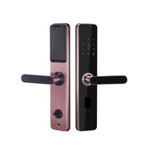 주차차단봉 주차 금지봉 관제시스템 차단기 생체 인식 지문 카드암호키 해제 비상 충전, 붉은 청동