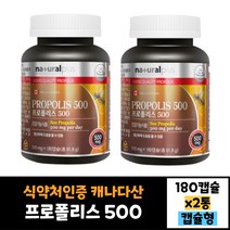 2통 묶음 식약처인증 캐나다 프로폴리스 500 510mg 180캡슐 효과 효능 먹는법 30대 40대 50대 60대 남자 여자