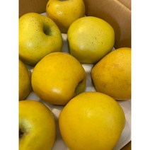 JJ에 시나노골드 사과 5kg 맛나는 사과 꿀사과 5kg, 사과 정품 대과 10-12과 5kg