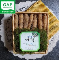 횡성더덕농가 실속형 선물세트 1호 1kg(30뿌리내외), 1개
