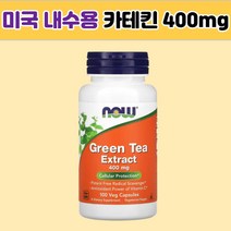 카테킨 아세로라 비타민C 함유 녹차 추출물 400 mg 100정, 1개