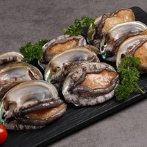 완도산 활전복-대size (11-12미)-1kg, 대size (11-12미)-1kg