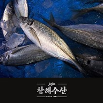 제주어가 명품 전갱이 대, 1box, 5마리