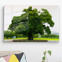 바보사랑 폼아크릴액자58CmX38Cm 왕버들나무.꾸밈(무료배송)
