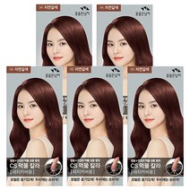 꽃을든남자 먹물 N6 자연갈색x5개 헤어스타일링 헤어 염모 제 염색약, 5pack, natural brown
