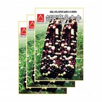 채소씨앗 - 옥수수씨앗 설중흑(30gx3)