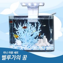 자연과사람 미니 어항 세트220 [벨루가의 꿈], 추가안함, 추가안함