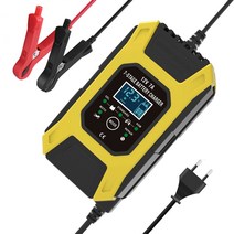 자동차 배터리 충전기 12V 리튬 납산 철리튬 만능
