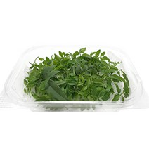 야채왕 자스민 1팩 생잎 허브, 1개