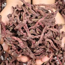 제천 월악산 건비트 말린 비트 영양야채 산지직송, 500g