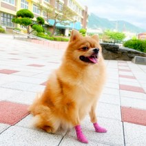멍냥펫 안벗겨지는 강아지 신발, 핑크