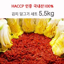 [청솔] 국내산 김치담기세트 5.5kg 김장 밀키트 (전라도식 진한양념), 1set
