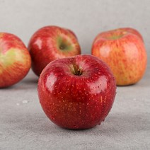 [오늘신선] 청송네자매 경북 청송 홍로 사과 정품 5kg 소과(20-22과 내외), 단품